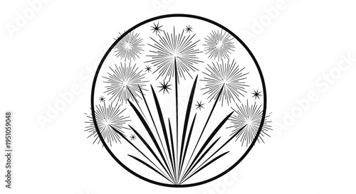 fireworks explosion circle