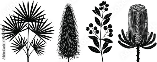 Botanical plant silhouettes collection featuring tropical leaves, wild foliage, floral elements, nature shapes isolated black vector illustration for design use