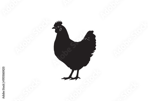 Black chicken silhouette vector