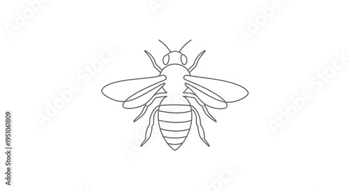 Minimalist Line Art of a Bee, Simple Insect Icon, Vector Illustration