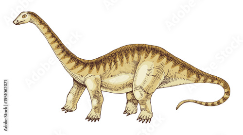 Diplodocus dinosaur hand drawn vector