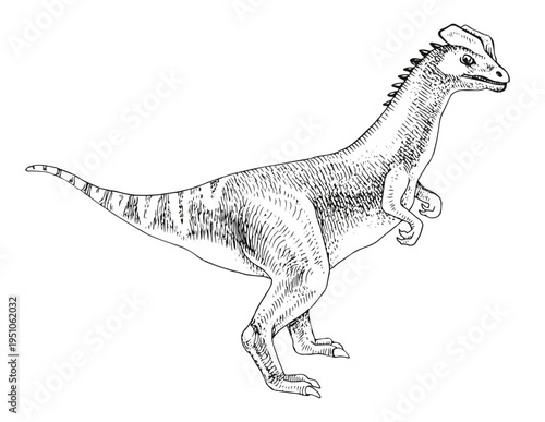 Dilophosaurus dinosaur hand drawn vector