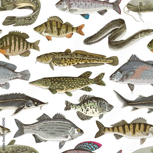 Freshwater fishes vector seamless pattern