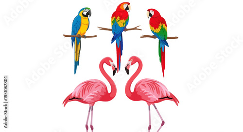 Vibrant tropical birds illustration featuring parrots and flamingos