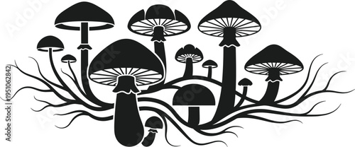Detailed Vector Silhouette of Wild Mushroom Cluster Featuring Underground Mycelium Root Structures and Various Fungi Cap Shapes for Nature Design