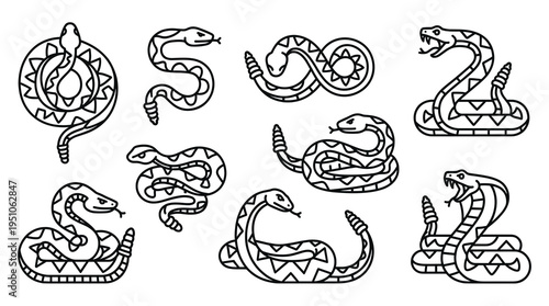 Black and white outline rattlesnake vector illustration set, featuring wild snake line art in various coiled and striking poses for coloring book or tattoo design.