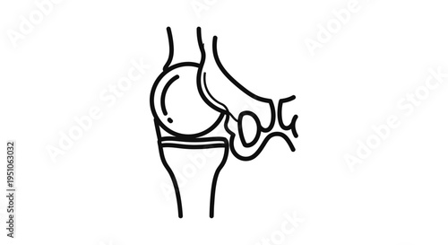 Knee Joint Anatomy Icon - Line Drawing of Human Leg Bone Structure