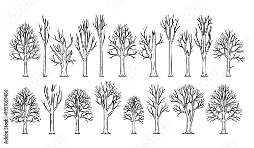 Dead tree line art collection with broken branches in detailed outline style isolated on white background