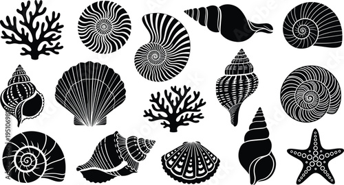 Sea shell and coral silhouette collection, marine ocean shells set with starfish and scallop shapes, decorative nautical vector illustration