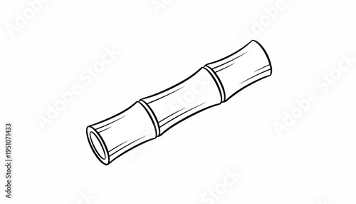 Bamboo segment illustration, isolated on white background, natural material, organic design