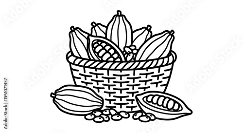Basket of Cacao Pods and Beans, Fresh Cocoa Fruit Harvest, Healthy Food Ingredient