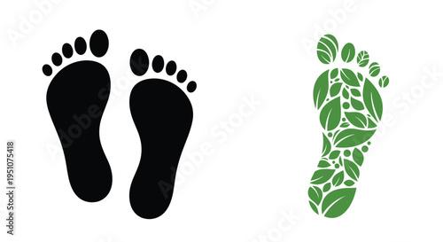 Footprints showing a transition from dark to green leaf filled imprints