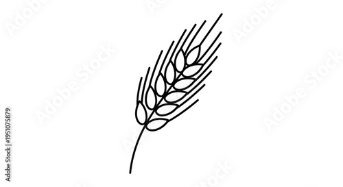 Minimalist Black and White Line Art of a Single Wheat Ear