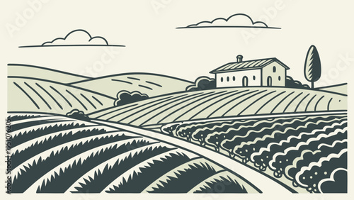 Spanish Vineyard Landscape with Rolling Hills Vector