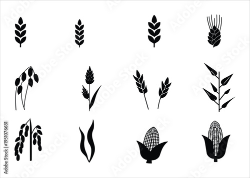 Set of stylized black and white icons representing various cereal grains and crops, including wheat, oats, corn, and barley, suitable for agricultural or food-related designs