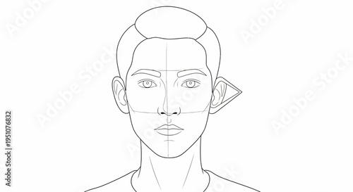Line Drawing of a Human Head with Facial Guidelines and Ear Detail