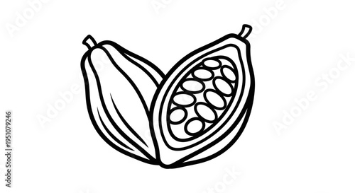 Cacao Pods, Whole and Halved, Showing Seeds, Line Art Illustration