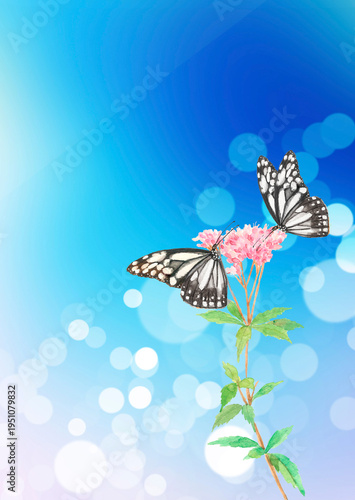 水彩で描いた花の蜜を吸う2羽の蝶のイラスト素材【手描き】コピースペースあり