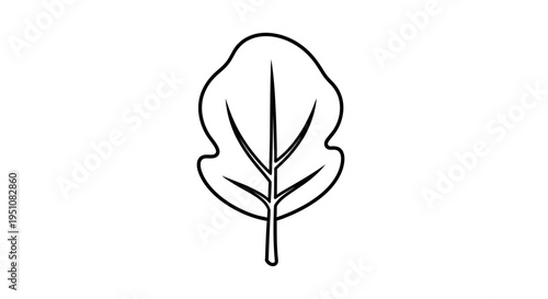 Simple Outline Icon of a Spinach Leaf, Vector Illustration