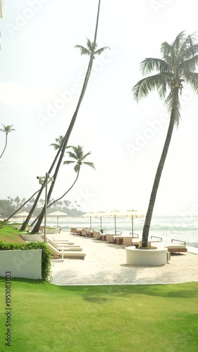 Beach club on ocean shore in Sri Lanka, tropical seaside lounge with palm trees and relaxing vacation atmosphere