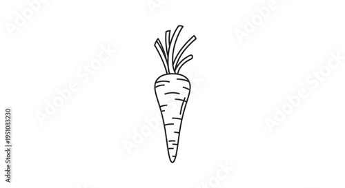 Simple Line Drawing of a Fresh Carrot with Green Leaves on White Background