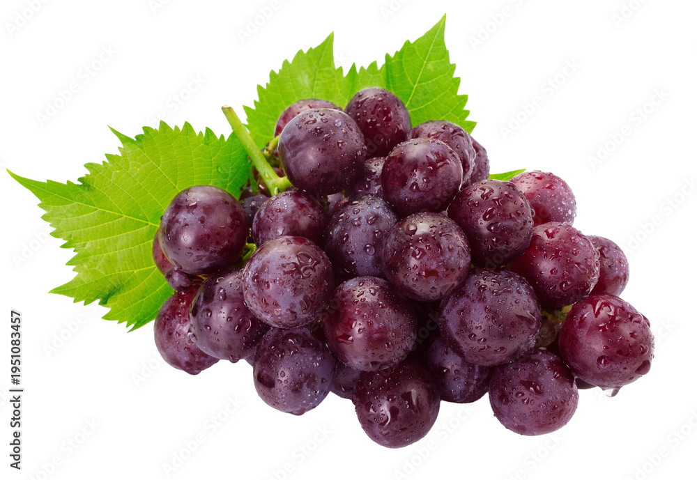 Fototapeta premium Fresh purple grapes with leaves isolated on transparent background for healthy fruit concept 