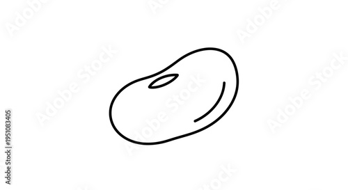 Simple Line Drawing of a Single Bean on White Background