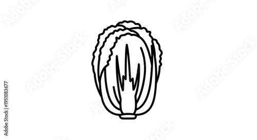 Simple Line Art Icon of a Napa Cabbage, Fresh Vegetable, Healthy Food Symbol