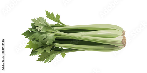 Fresh Celery and Green Onions Isolated on White Background.