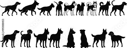 Dog silhouettes collection featuring various breeds and poses, domestic pet animals in standing and sitting positions, black vector set isolated on white background