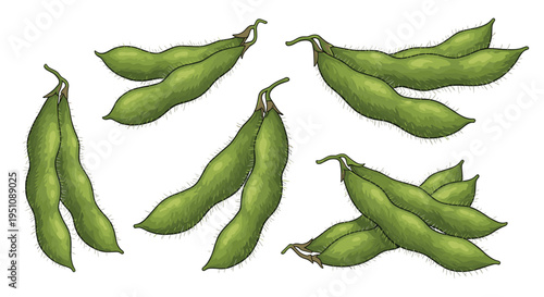 Collection of green edamame pods, displayed in various orientations, highlighting their fuzzy texture and plump forms, perfect for healthy snacking and Asian cuisine themes.