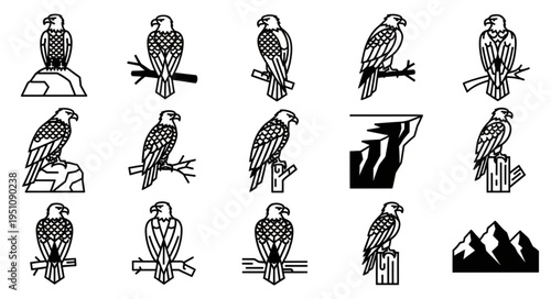 Eagle Icons - Majestic Birds of Prey in Various Poses and Settings.