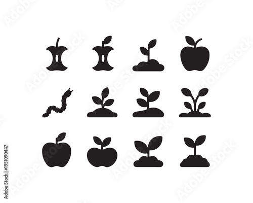 Apple life cycle stages from core to seedling and full fruit