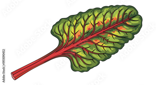 Stunning Swiss chard leaf illustration, featuring a prominent red stem and vein structure contrasting with the rich green blade, symbolizing healthy and colorful vegetables.