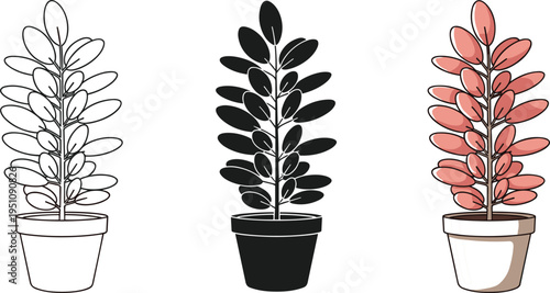 Potted plant illustration set, indoor houseplant in line art, silhouette and colored styles, decorative botanical element isolated on white background, vector design