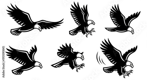 Dynamic Eagle Illustrations - A Collection of Birds in Flight and Landing.