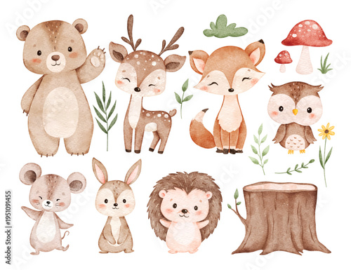 Watercolor Illustration Set of Cute Woodland Animals and Nature Elements