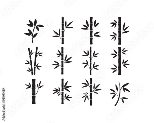 Collection of twelve black silhouette representing various bamboo stalks and branches with detailed leaves and segments on a