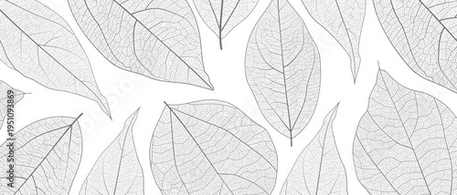 Leaf vein skeleton texture abstract background with close up plant leaf cells ornament texture pattern. Black and white organic macro linear background of nature leaf foliage vector illustration.