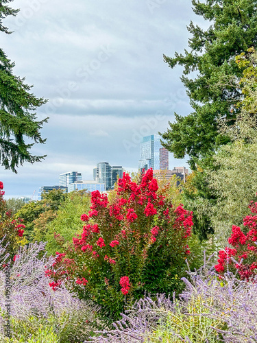 Bellevue Botanical Garden Skyline
