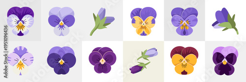 Edible flower petals and blooms collection – Perfect for gourmet recipe cards, floral tea branding, or culinary arts.