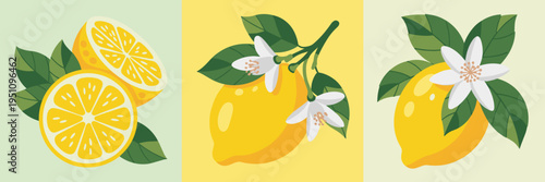 Bright citrus blossom and lemon vector – Perfect for organic juice labels, summer sales flyers, or refreshment branding.