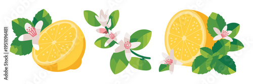 Refreshing lemon and mint leaf icons – Suitable for cocktail menus, summer drink blogs, or citrus-scented product ads.