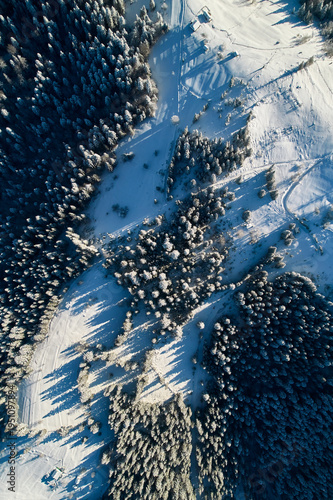 Slika na platnu Aerial view top-down snow-covered landscape with dense forests and open fields