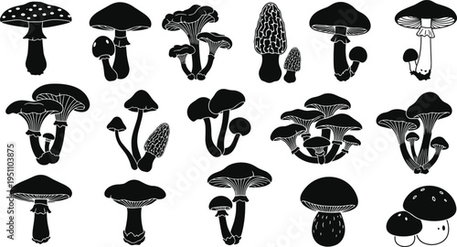 Large Vector Silhouette Collection Featuring Various Wild Mushroom Species Including Amanita Morel and Chanterelle Fungi Shapes for Nature Graphic Design