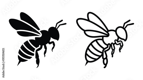 Two bee illustrations one solid and one outline showcasing insect anatomy a graphic silhouette