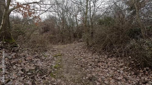 Walking along forest path covered with fallen leaves in late autumn