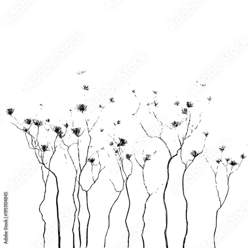 Sparse thin black tree branches with sparse dark flowers on white background minimalist botanical illustration
