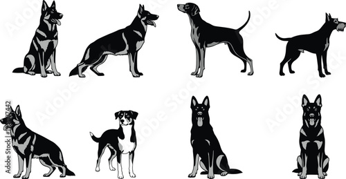 Vector illustration set of dog breeds including German Shepherd, Pointer, and Schnauzer, black and gray canine silhouettes for pet design, isolated.