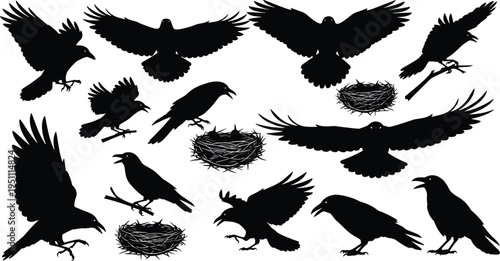Crow raven silhouette collection, flying birds set, black corvid poses, nest elements, wildlife nature concept, isolated illustration pack